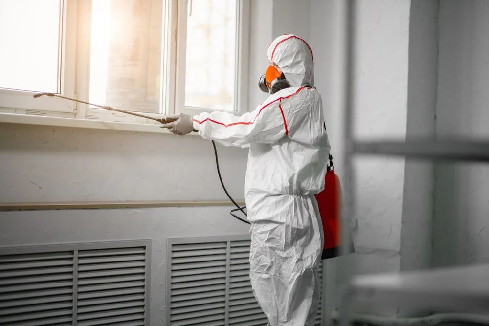 Professional mold remediation services in Bryant Pond, ME